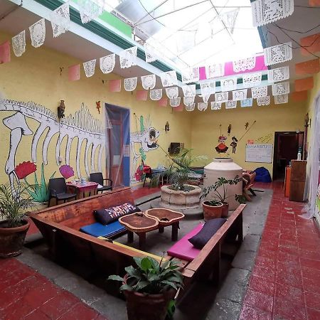 Iguana Hostel Oaxaca Экстерьер фото