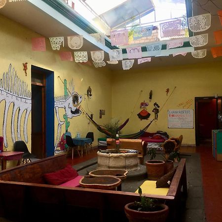 Iguana Hostel Oaxaca Экстерьер фото