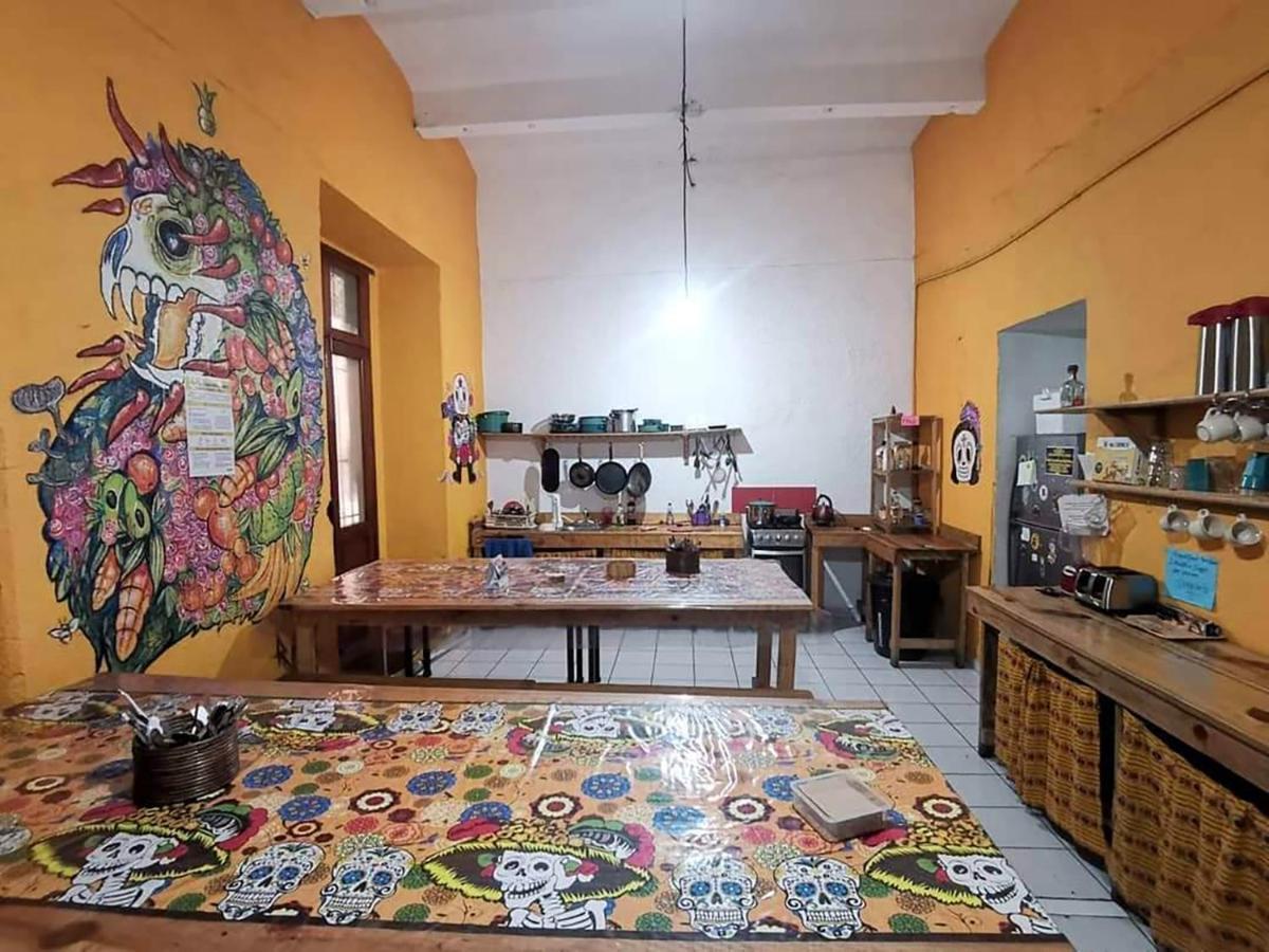 Iguana Hostel Oaxaca Экстерьер фото