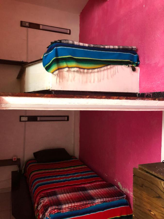 Iguana Hostel Oaxaca Экстерьер фото