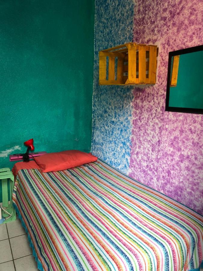 Iguana Hostel Oaxaca Экстерьер фото