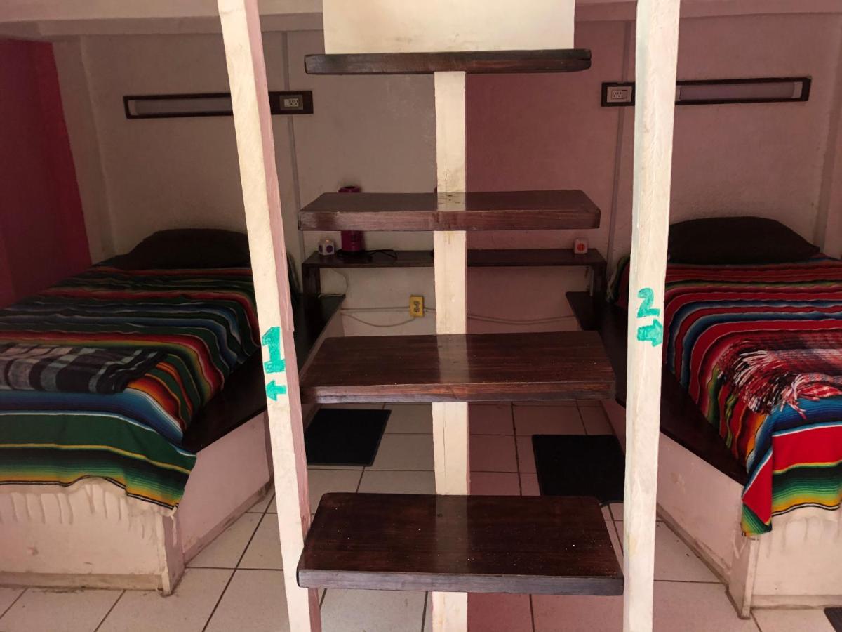 Iguana Hostel Oaxaca Экстерьер фото