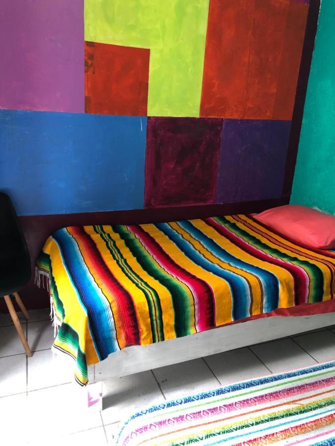 Iguana Hostel Oaxaca Экстерьер фото