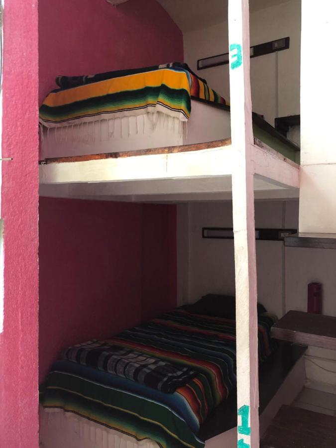 Iguana Hostel Oaxaca Экстерьер фото