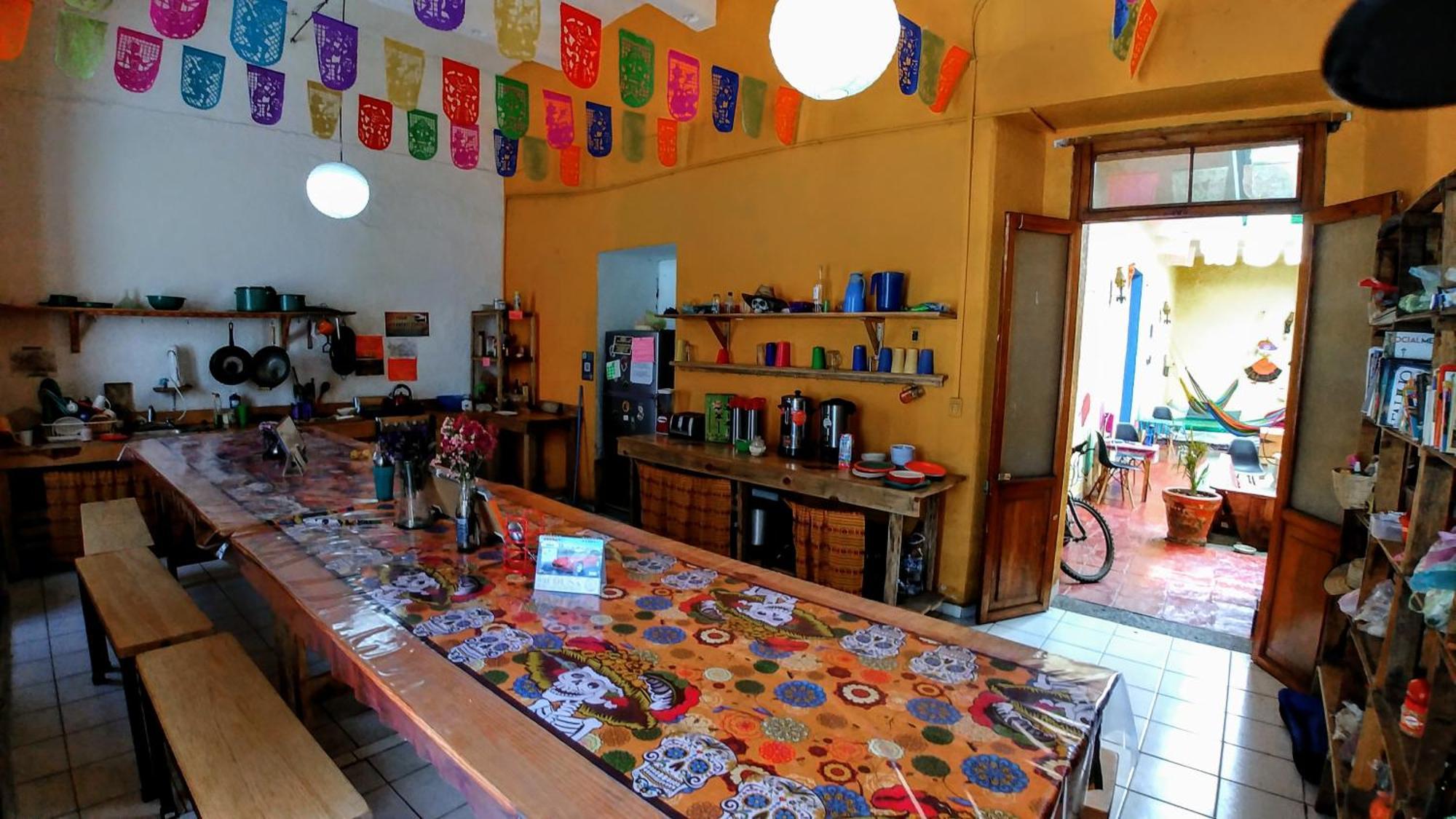 Iguana Hostel Oaxaca Экстерьер фото