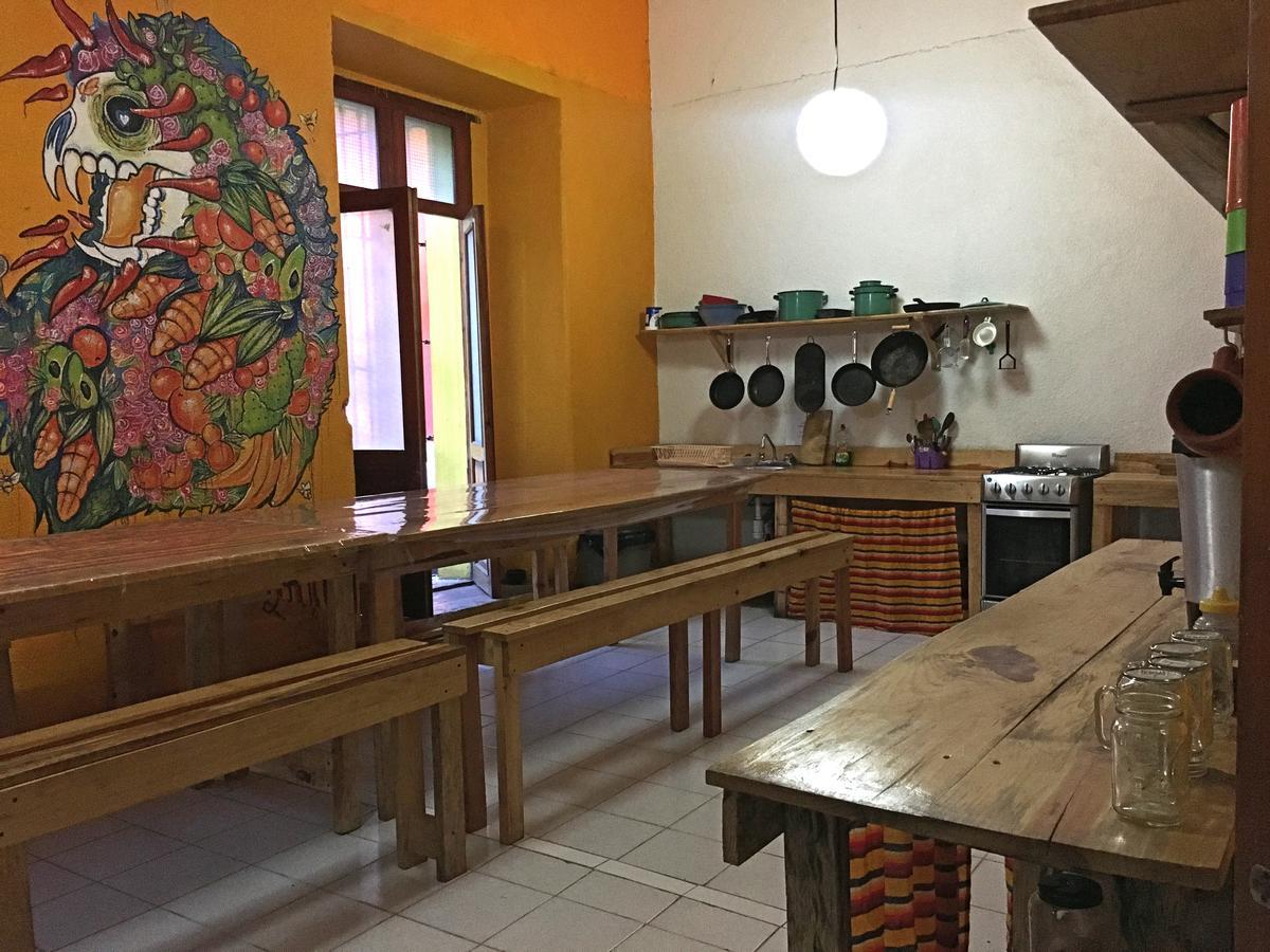 Iguana Hostel Oaxaca Экстерьер фото