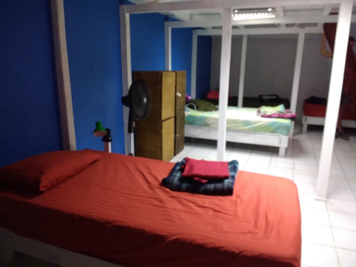 Iguana Hostel Oaxaca Экстерьер фото