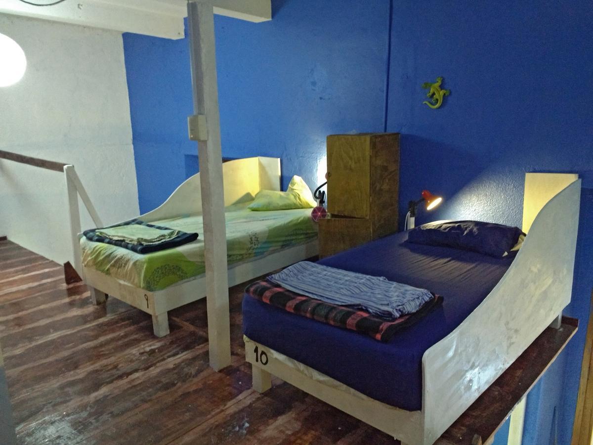 Iguana Hostel Oaxaca Экстерьер фото