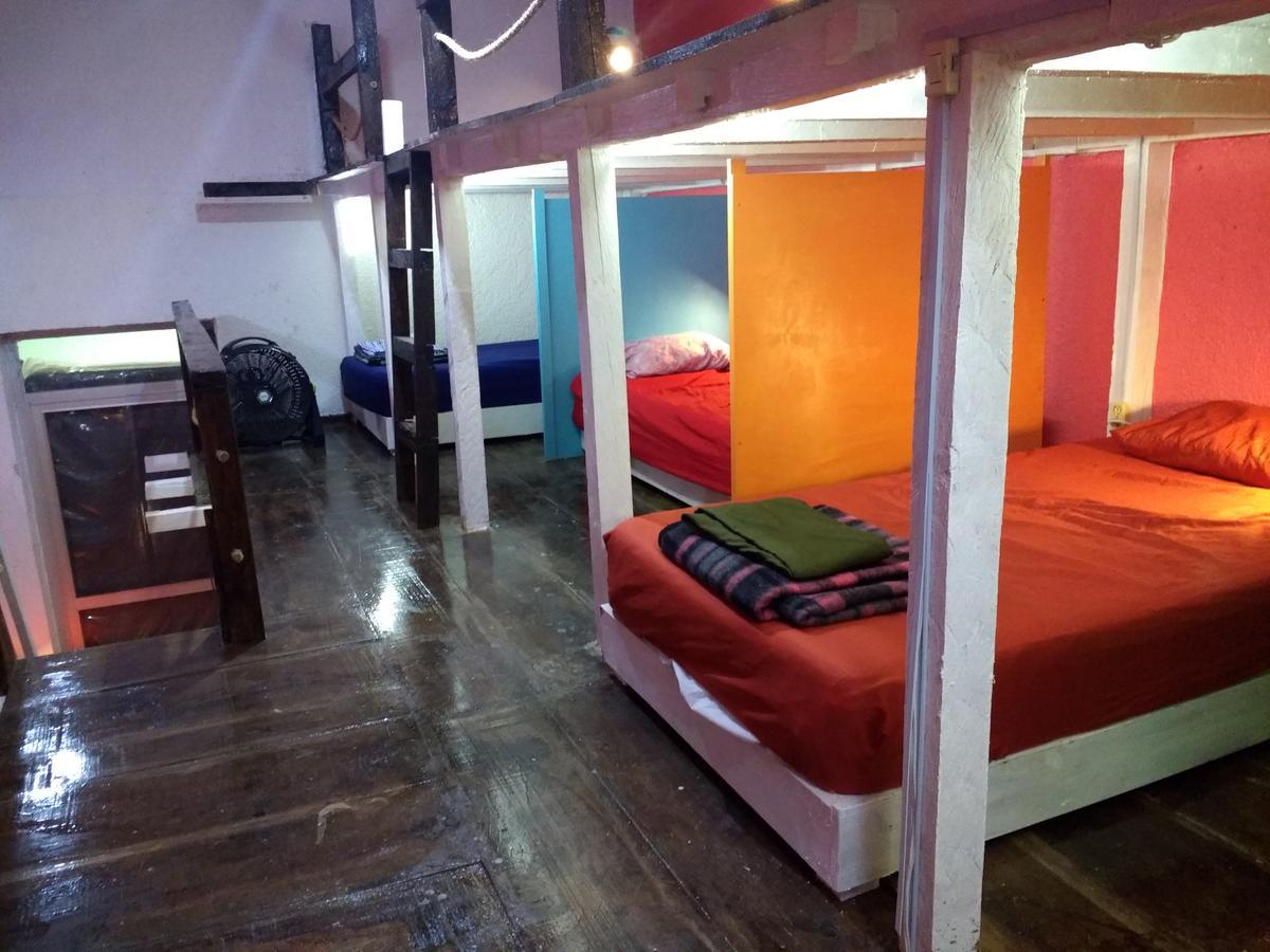 Iguana Hostel Oaxaca Экстерьер фото