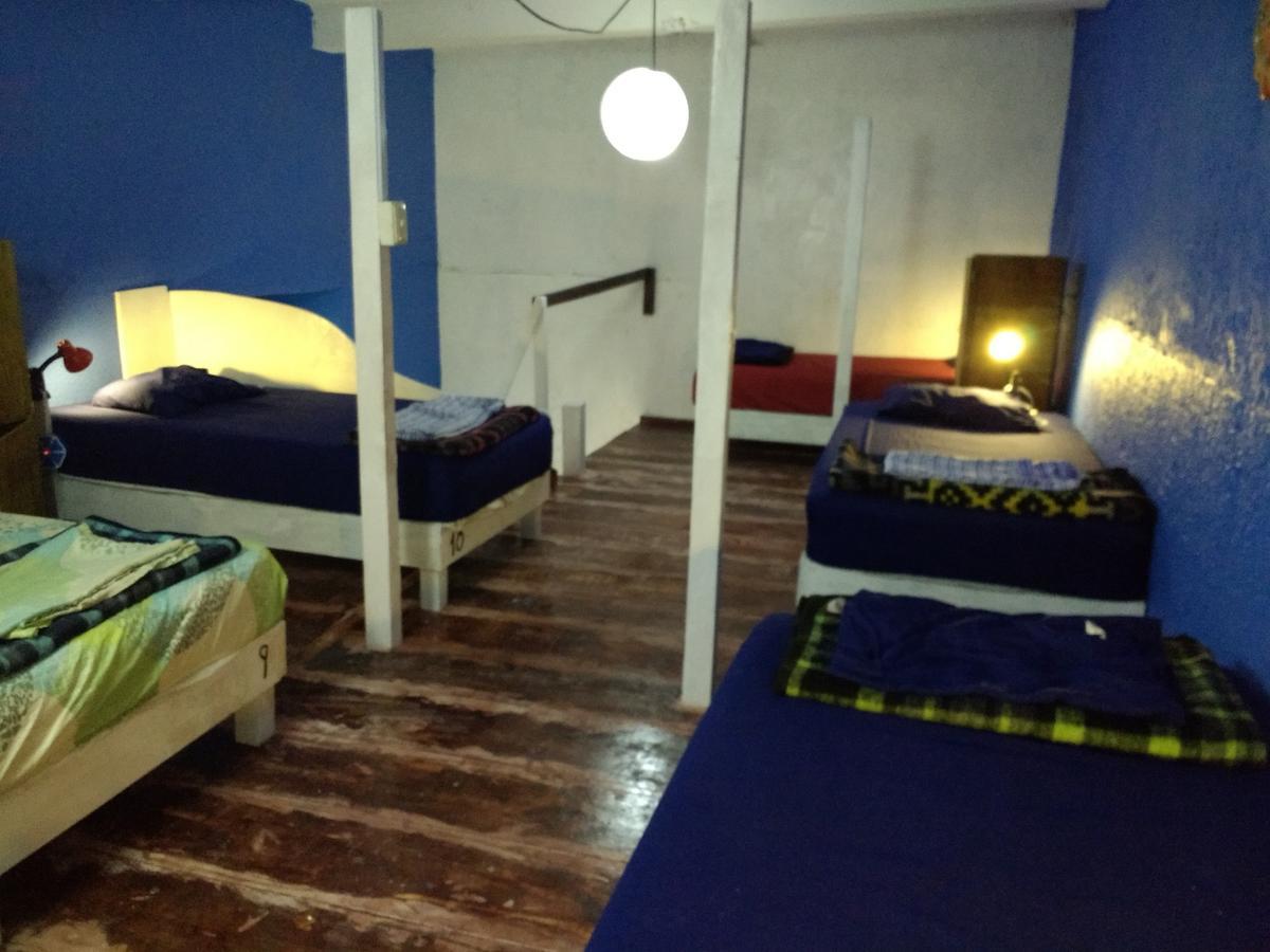 Iguana Hostel Oaxaca Экстерьер фото