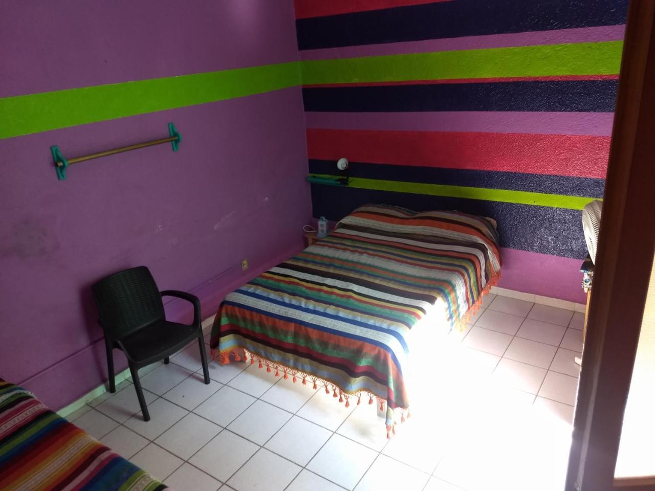 Iguana Hostel Oaxaca Экстерьер фото