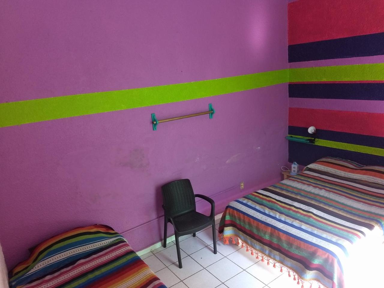 Iguana Hostel Oaxaca Экстерьер фото