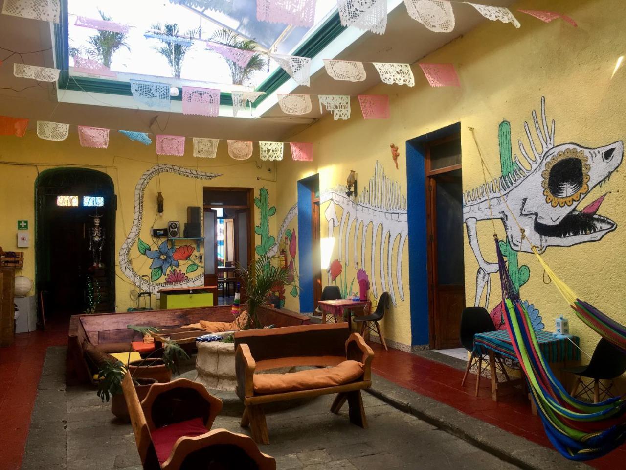 Iguana Hostel Oaxaca Экстерьер фото